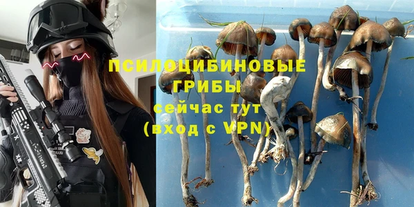 каннабис Магас
