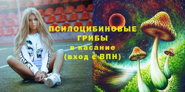 эйфоретик Майский