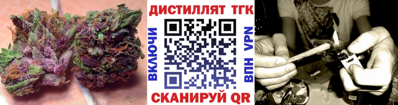 ТГК концентрат  Хилок 