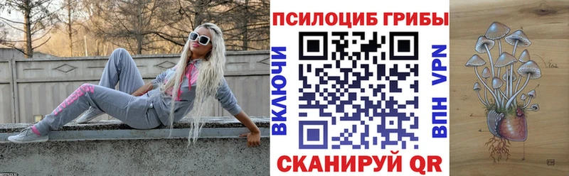 Галлюциногенные грибы Magic Shrooms  цены   Хилок 